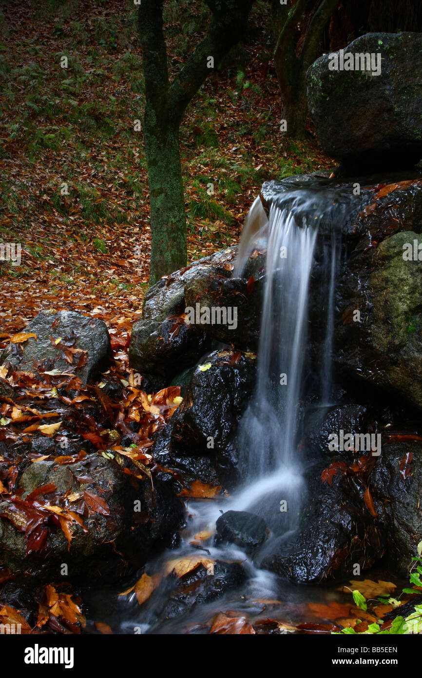 Caída de agua de otoño Foto de stock