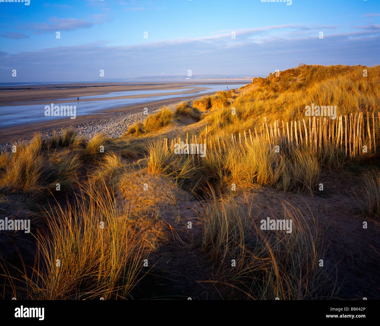Northam Burrows dunas de arena en Westward Ho!, Devon, Inglaterra. Foto de stock