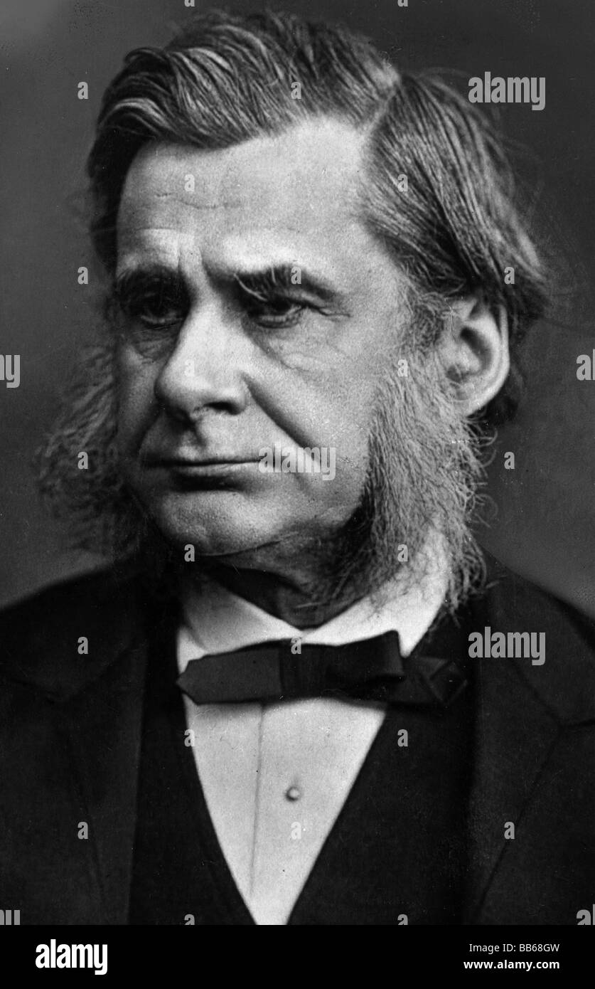 Huxley, Thomas Henry, 4.5.1825 - 29.6.1895, científico británico (biólogo), retrato, alrededor de 1880, Foto de stock