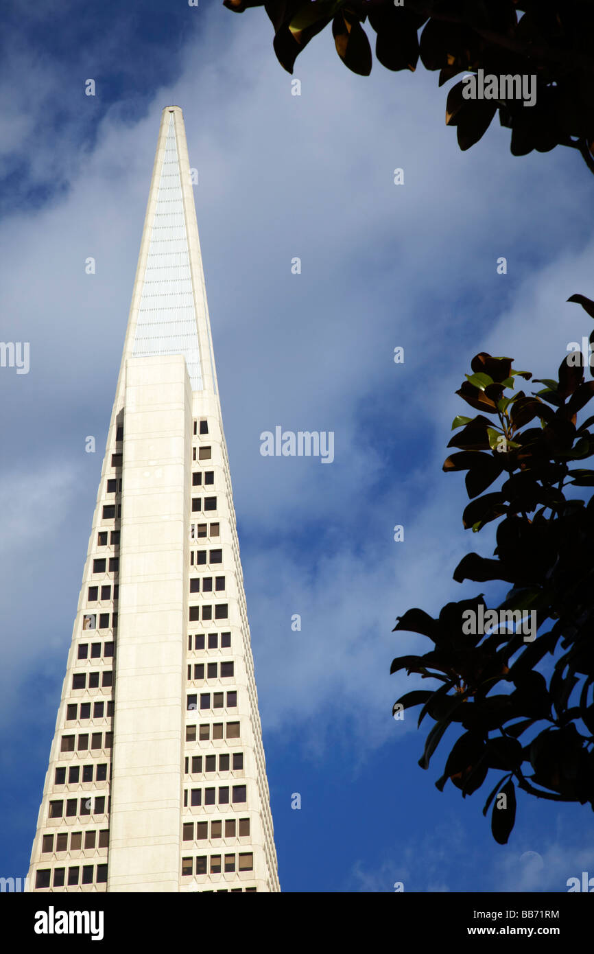 Edificio Transamerica Pyramid, San Francisco Foto de stock