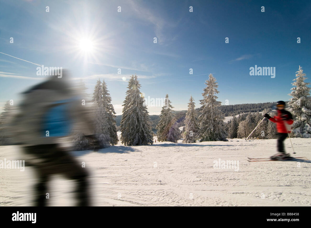 Nieve y helada hoar cubiertos de abetos con sol y un cielo azul, esquiadores y snowboard pasando con motion blur, Feldberg, Selva Negra. Foto de stock