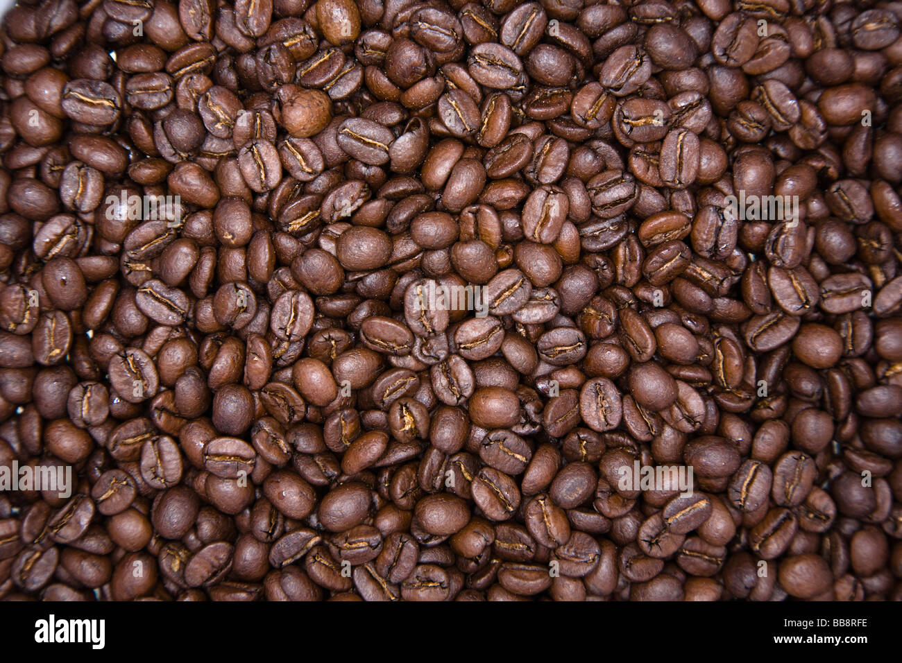 granos de café Foto de stock
