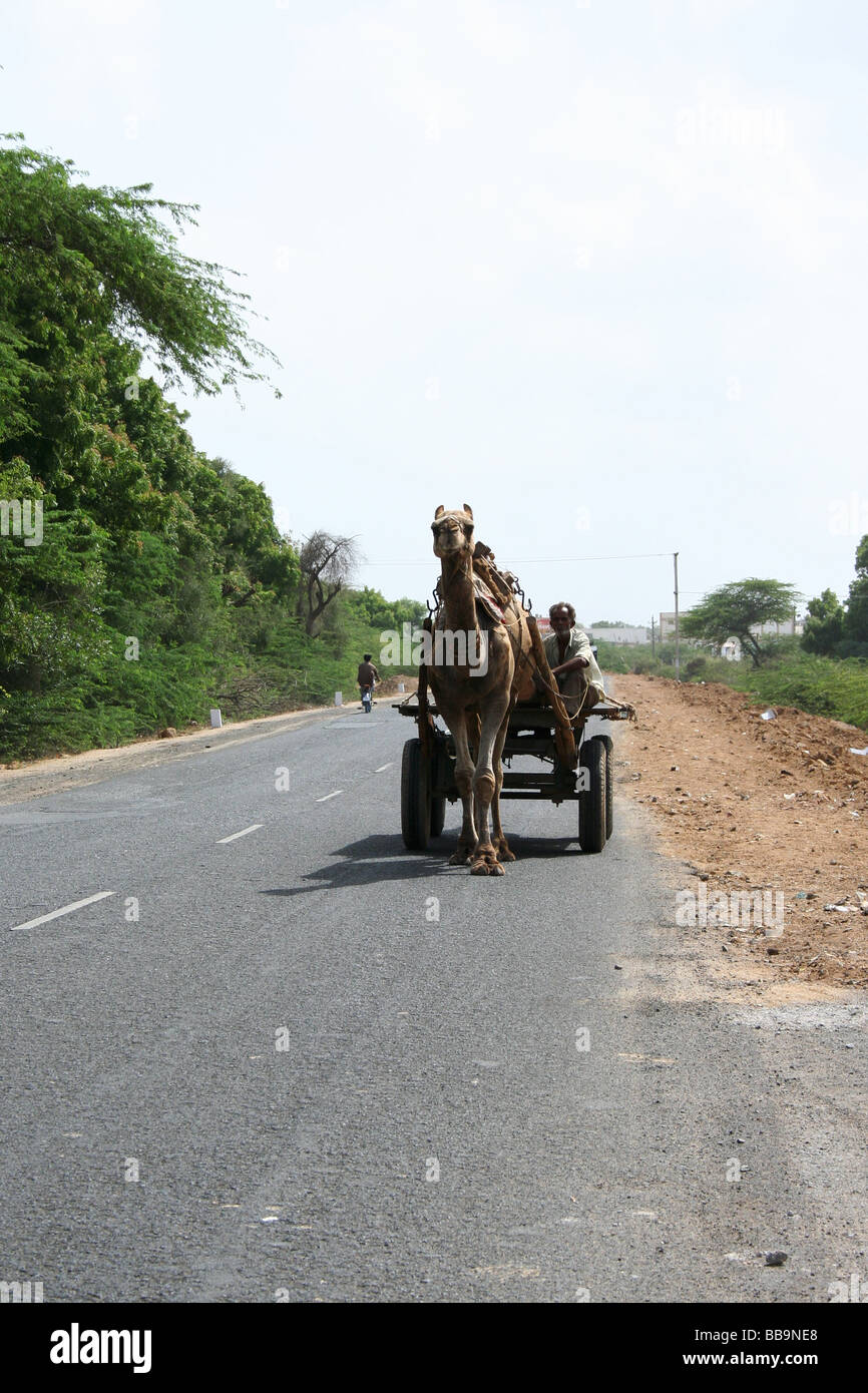 Modo de transporte, India Foto de stock
