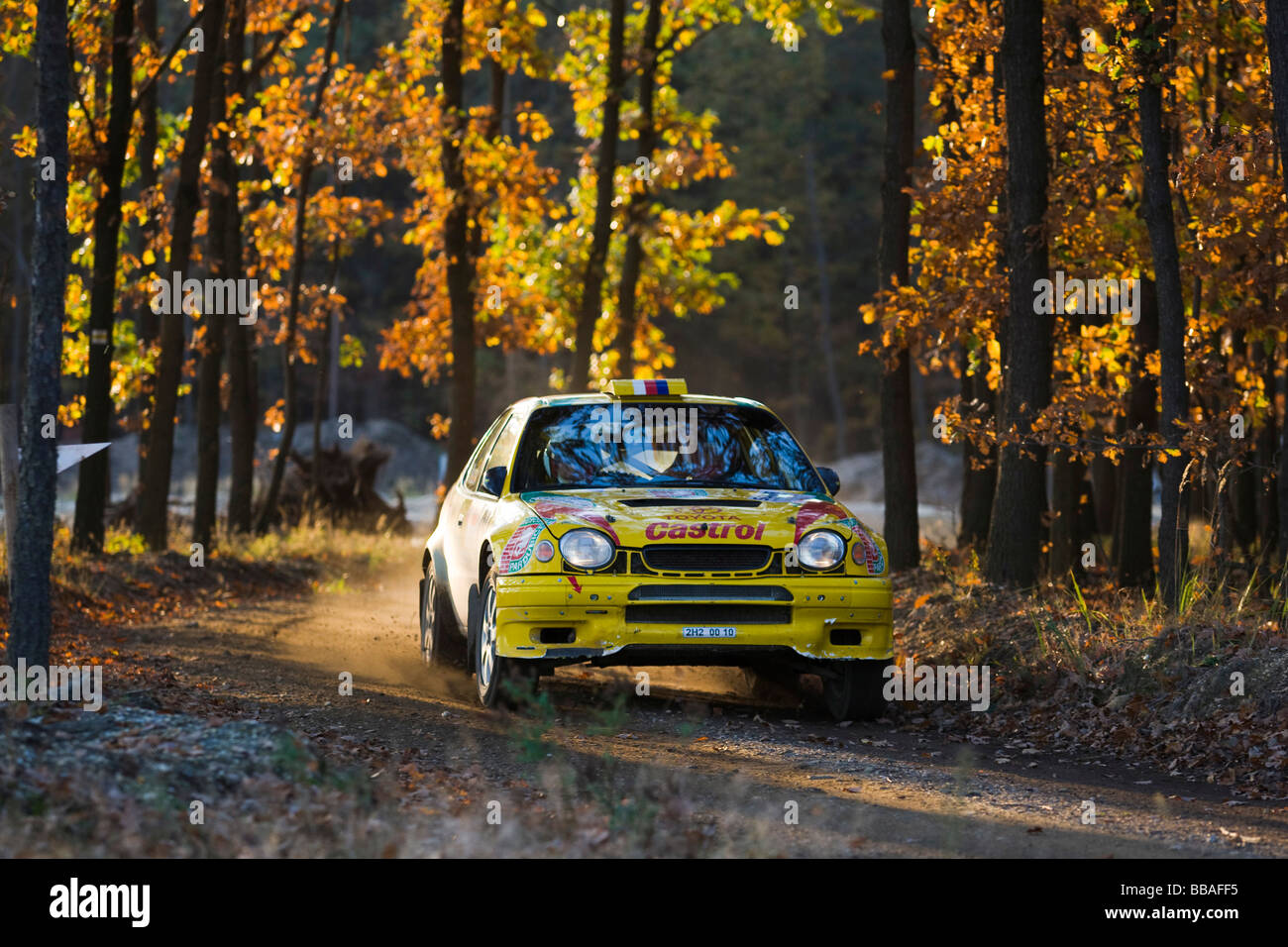 Toyota Corolla WRC, el Rally de Lausitz, automovilismo, Sajonia, Alemania, Europa Foto de stock