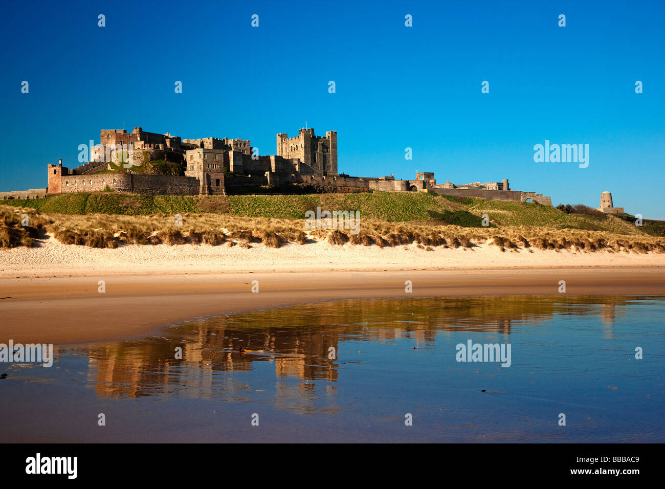 Bamburgh Castle costa de Northumberland, Inglaterra Foto de stock