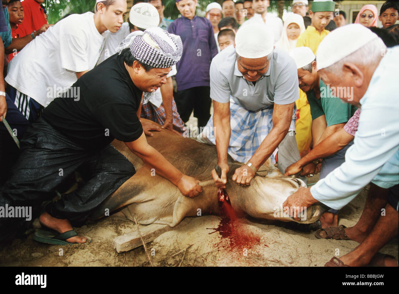 Download 68 Gambar Hari Raya Qurban  Gratis HD