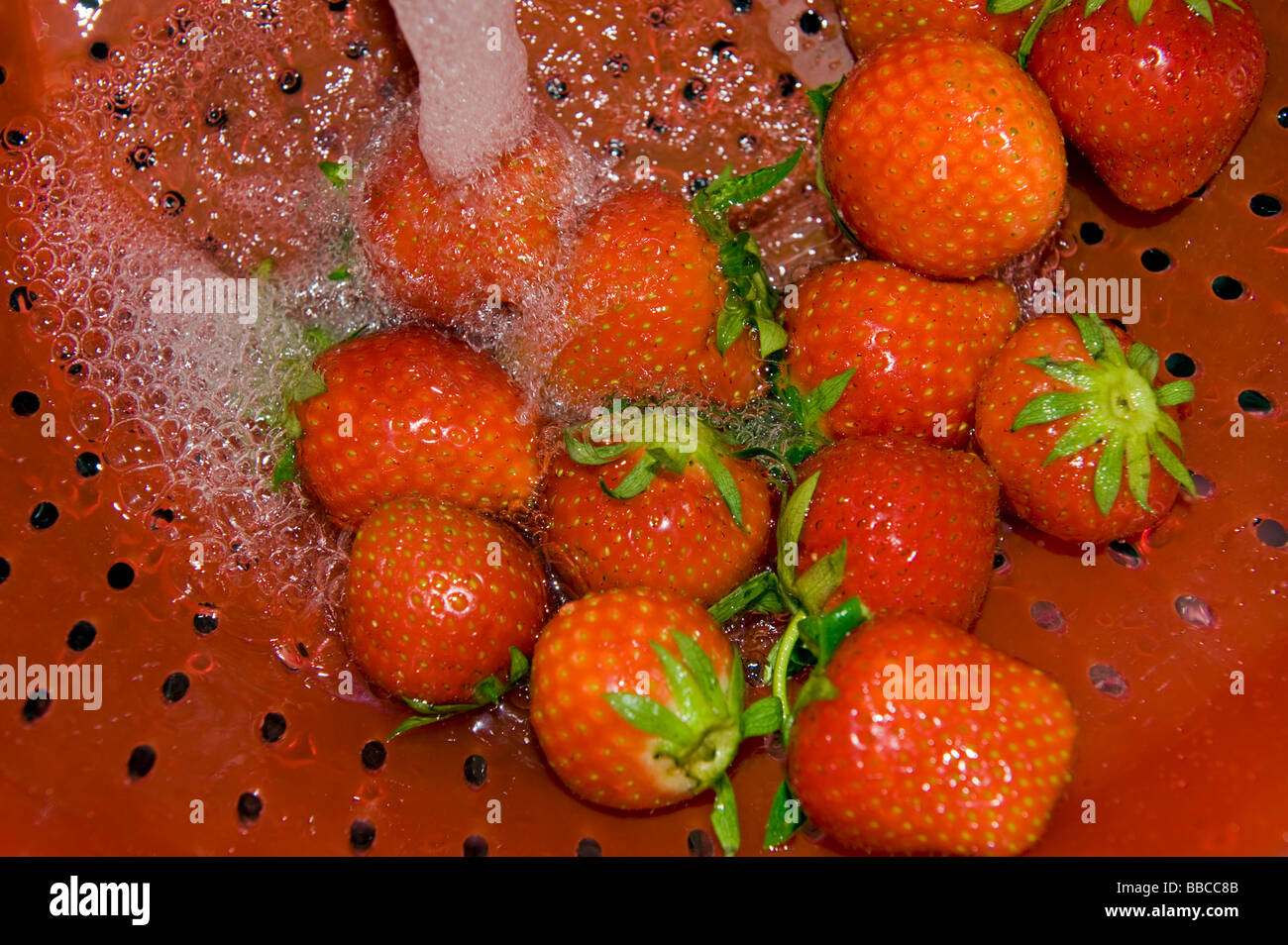 Lavar las fresas strawberry riddle pantalla tamiz tamiz de limpieza de agua jet red de riego cocina cocinar cocinando prepare Foto de stock