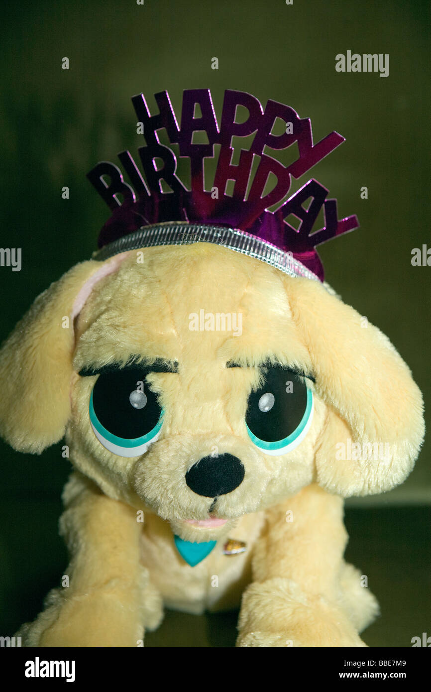 Ojos grandes de peluche perro tiene un "feliz cumpleaños" corona sobre su  cabeza Fotografía de stock - Alamy