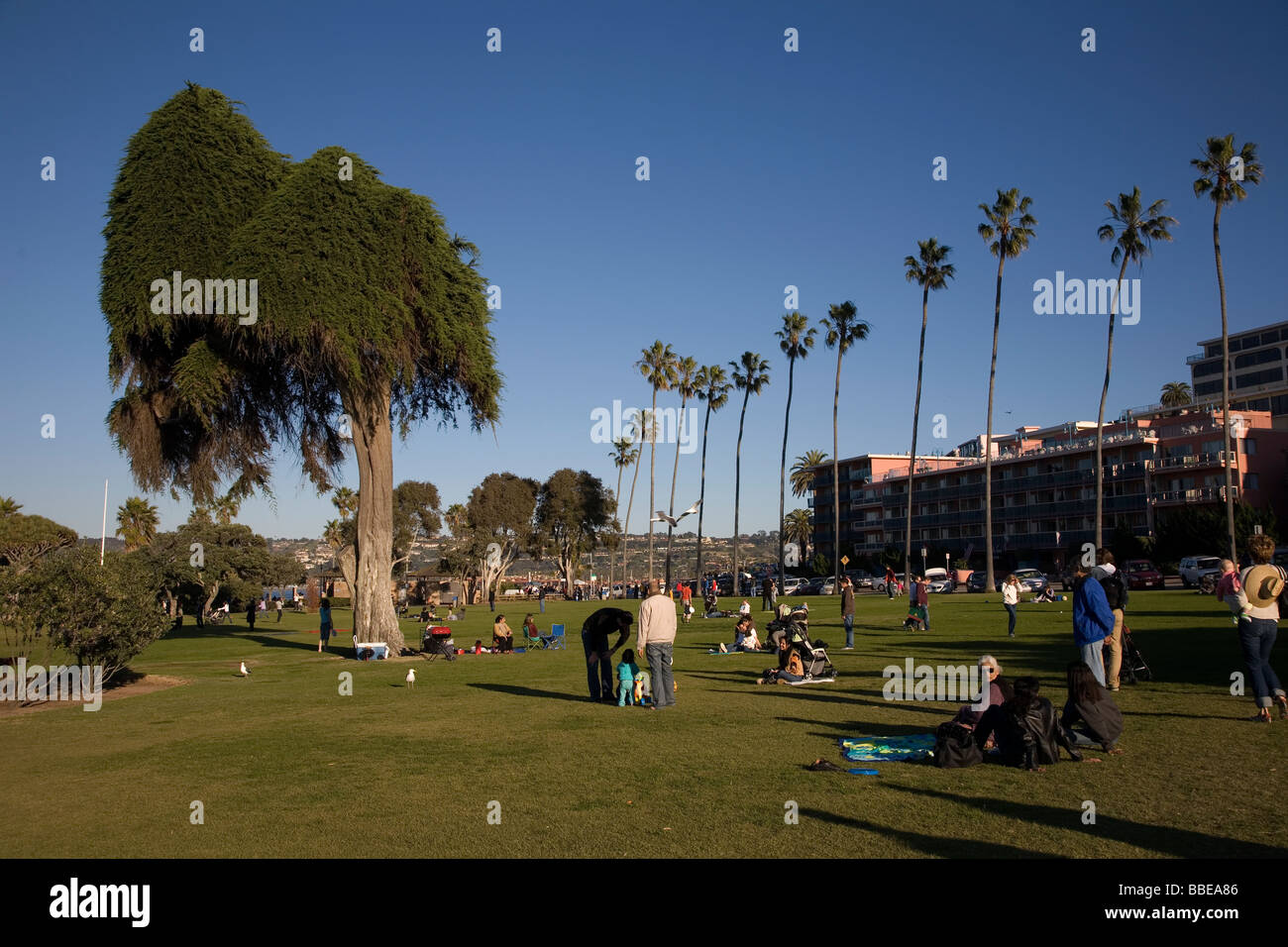 La gente disfruta del parque de hierba en La Jolla Cove, La Jolla, California Foto de stock
