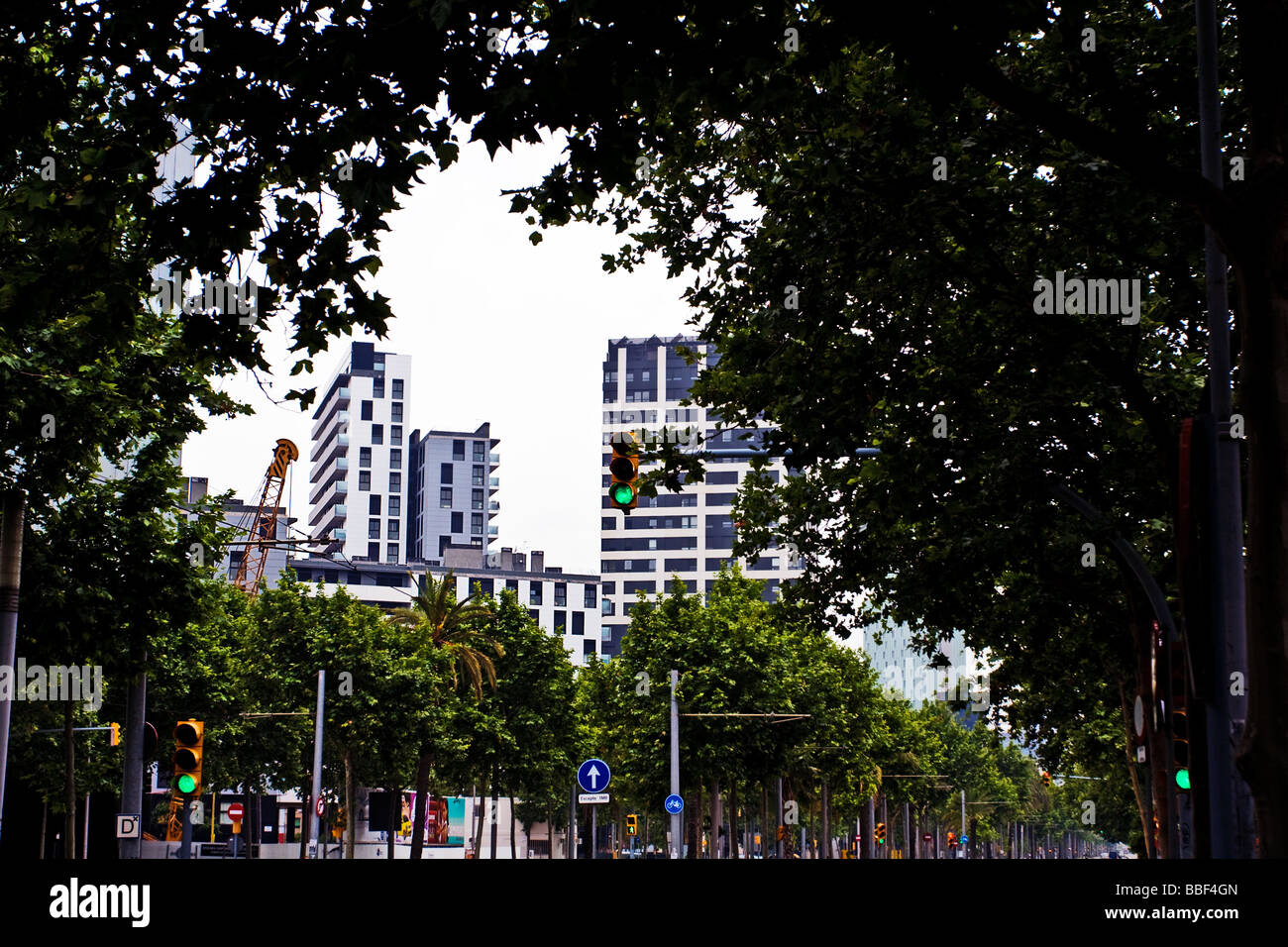 Los edificios altos enmarcado por árboles, Avenida Diagonal (Diagonal) Barcelona, España Foto de stock