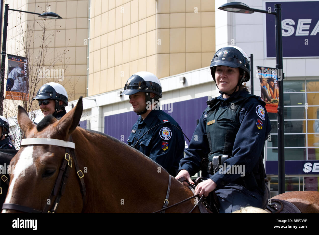 Montado de la policía de Toronto Dundas Square Toronto Ontario Canada Foto de stock