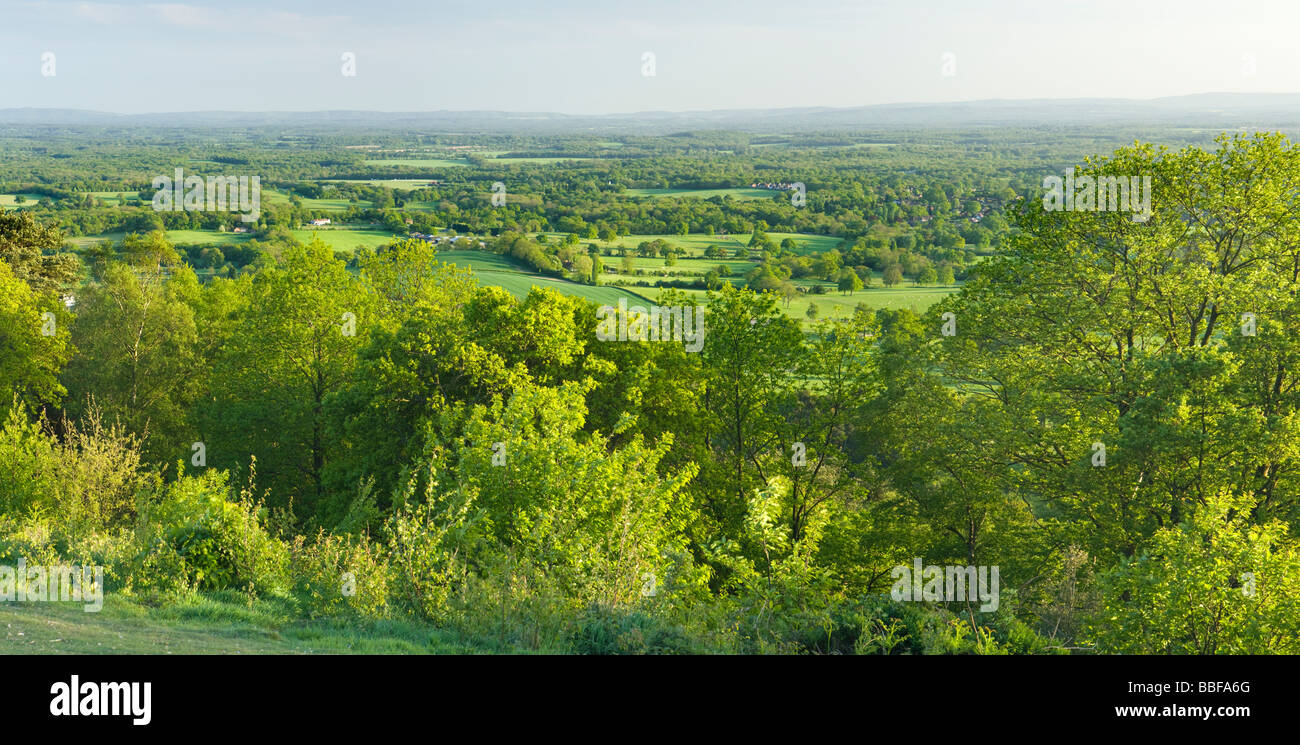 Vista al sur de Holmbury Hill, Surrey, Reino Unido Foto de stock