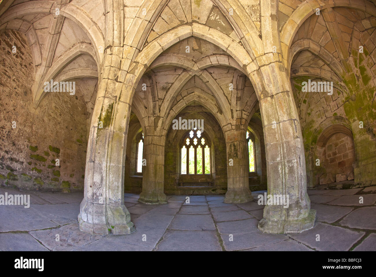 Interior de la Sala Capitular Valle Crucis ruinas de la abadía cisterciense del siglo 13 cerca de Llangollen North Wales Cymru UK Reino Unido G Foto de stock