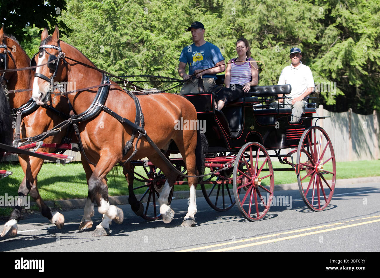 Un carro abierto con tres personas tirado por cuatro caballos Fotografía de  stock - Alamy