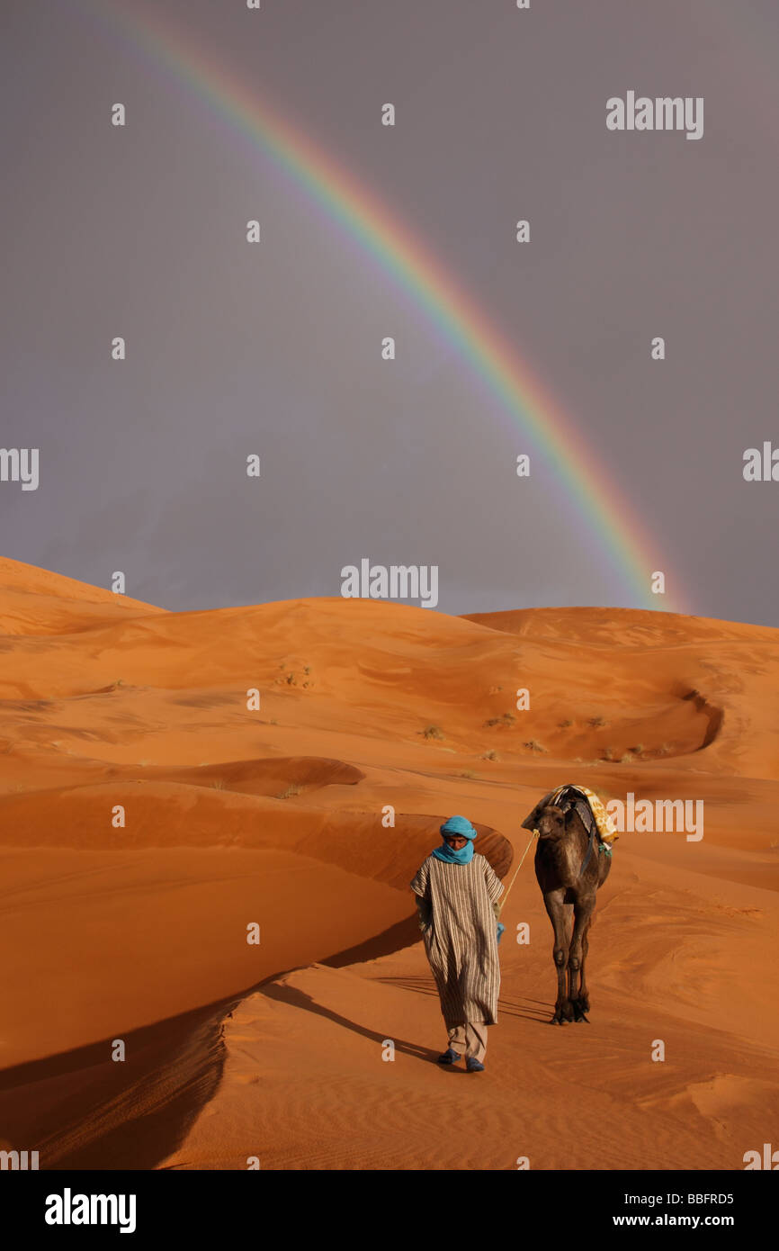 África, África del Norte, Marruecos, el desierto del Sahara, Merzouga, Erg Chebbi, líder Tribesman bereber, arco iris de camellos en el desierto Foto de stock