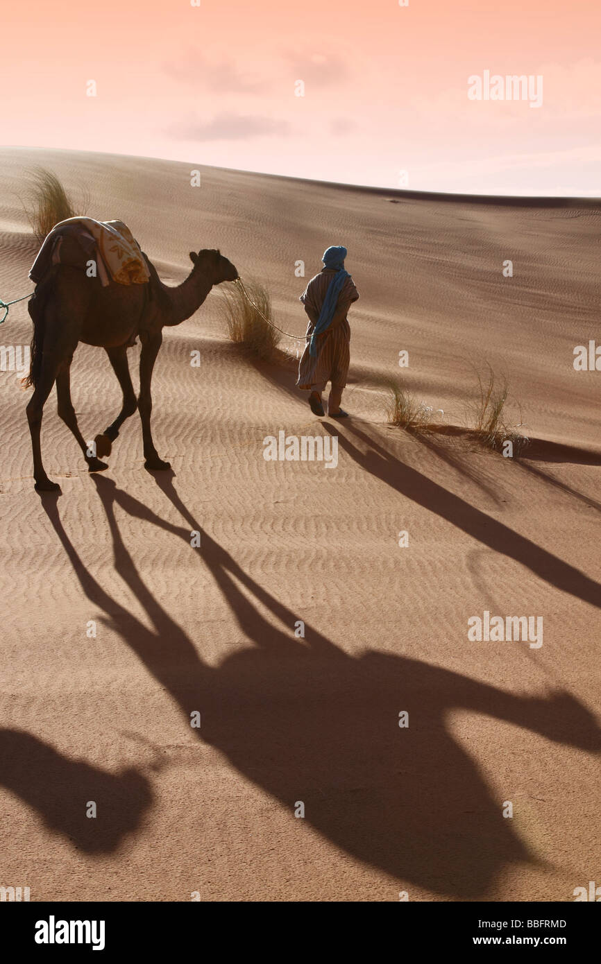 África, África del Norte, Marruecos, el desierto del Sahara, Merzouga, Erg Chebbi, líder Tribesman Bereber Camel Foto de stock