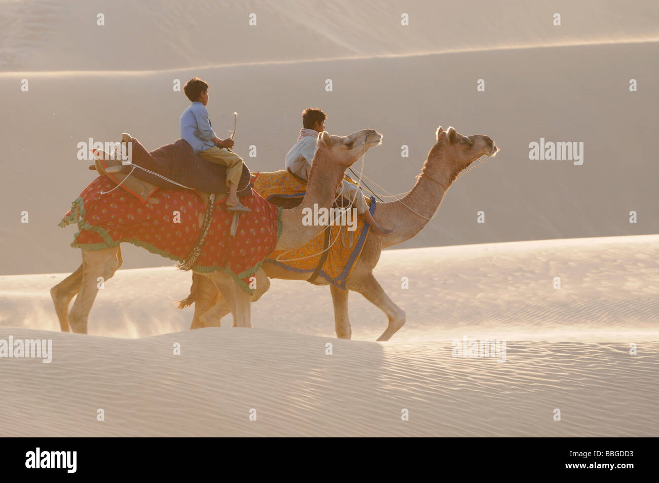 Los jinetes de camellos en el desierto de Thar, Sam cerca de Jaisalmer Rajasthan, India septentrional, Asia Foto de stock