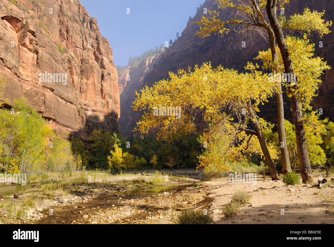 Sendero a North Fork Virgin River, Zion Canyon, Parque Nacional Zion, Utah, EE.UU. Foto de stock