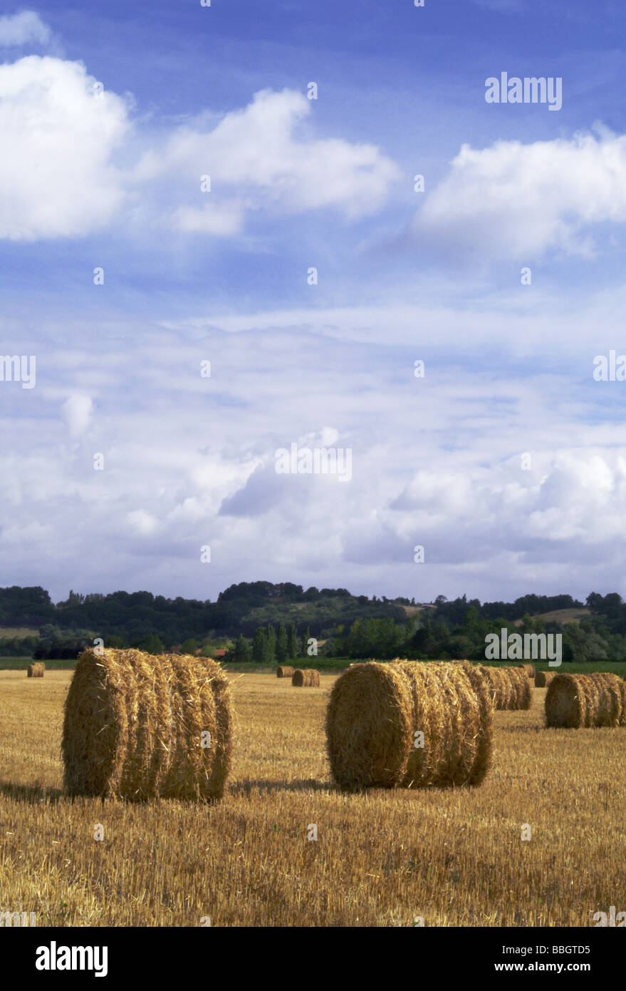 Francia;la agricultura;fardos de paja de trigo en el valle del Adour;Dept Altos Pirineos.Al sur-oeste de Francia. Foto de stock