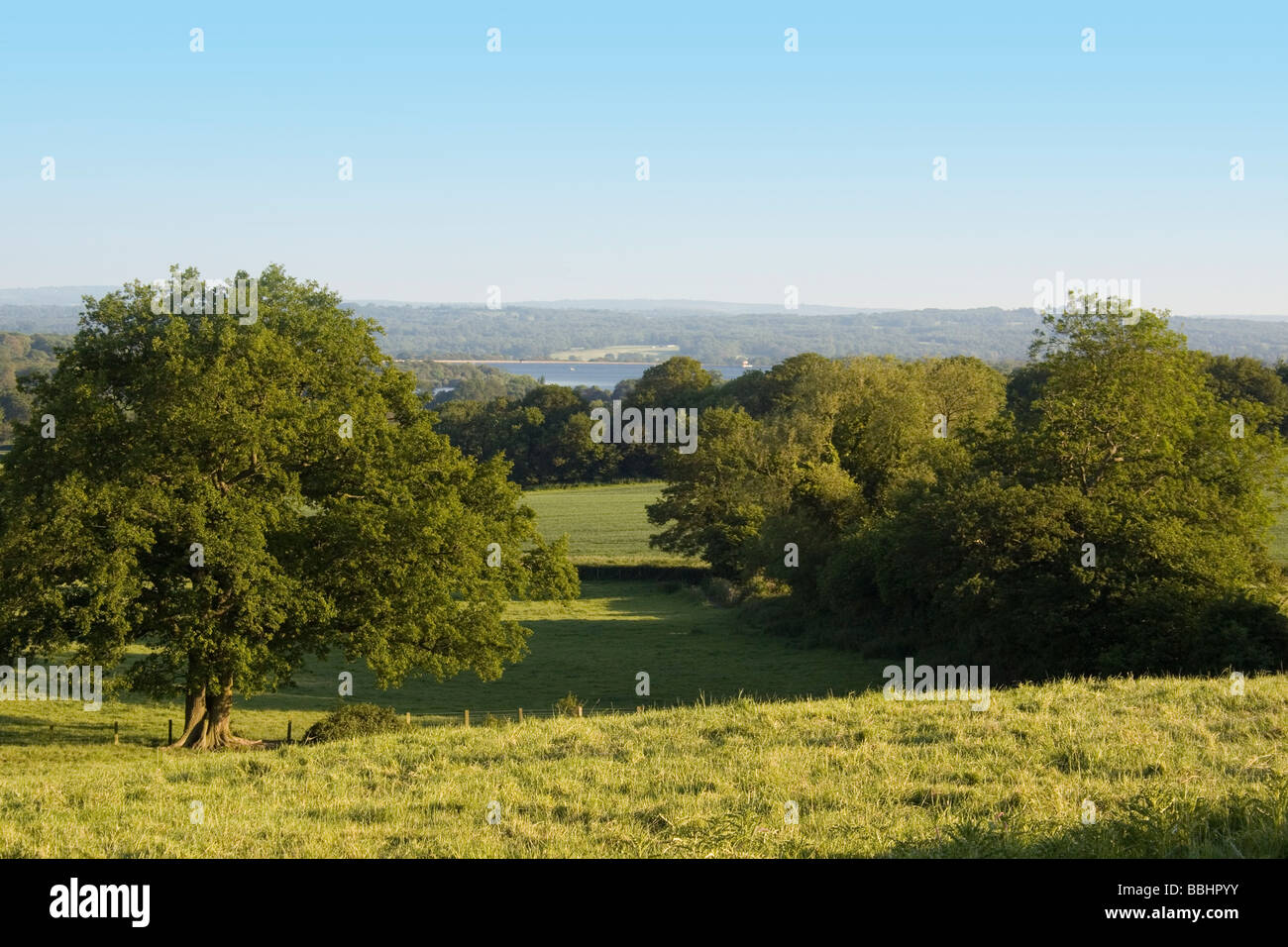 Escena pastoral tierras en Kent, Inglaterra Foto de stock