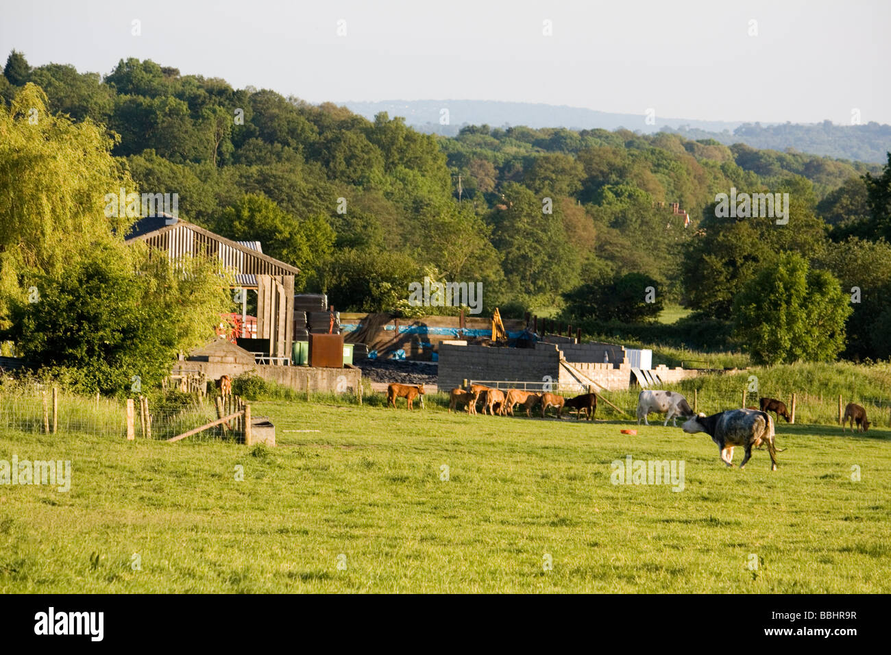 Escena pastoral tierras en Kent, Inglaterra Foto de stock