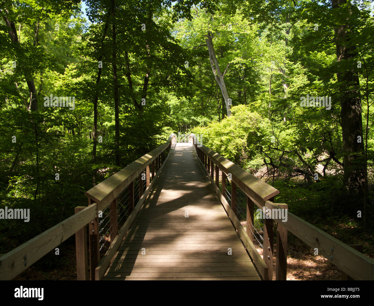 Pasarela de madera Warren Woods State Park Foto de stock