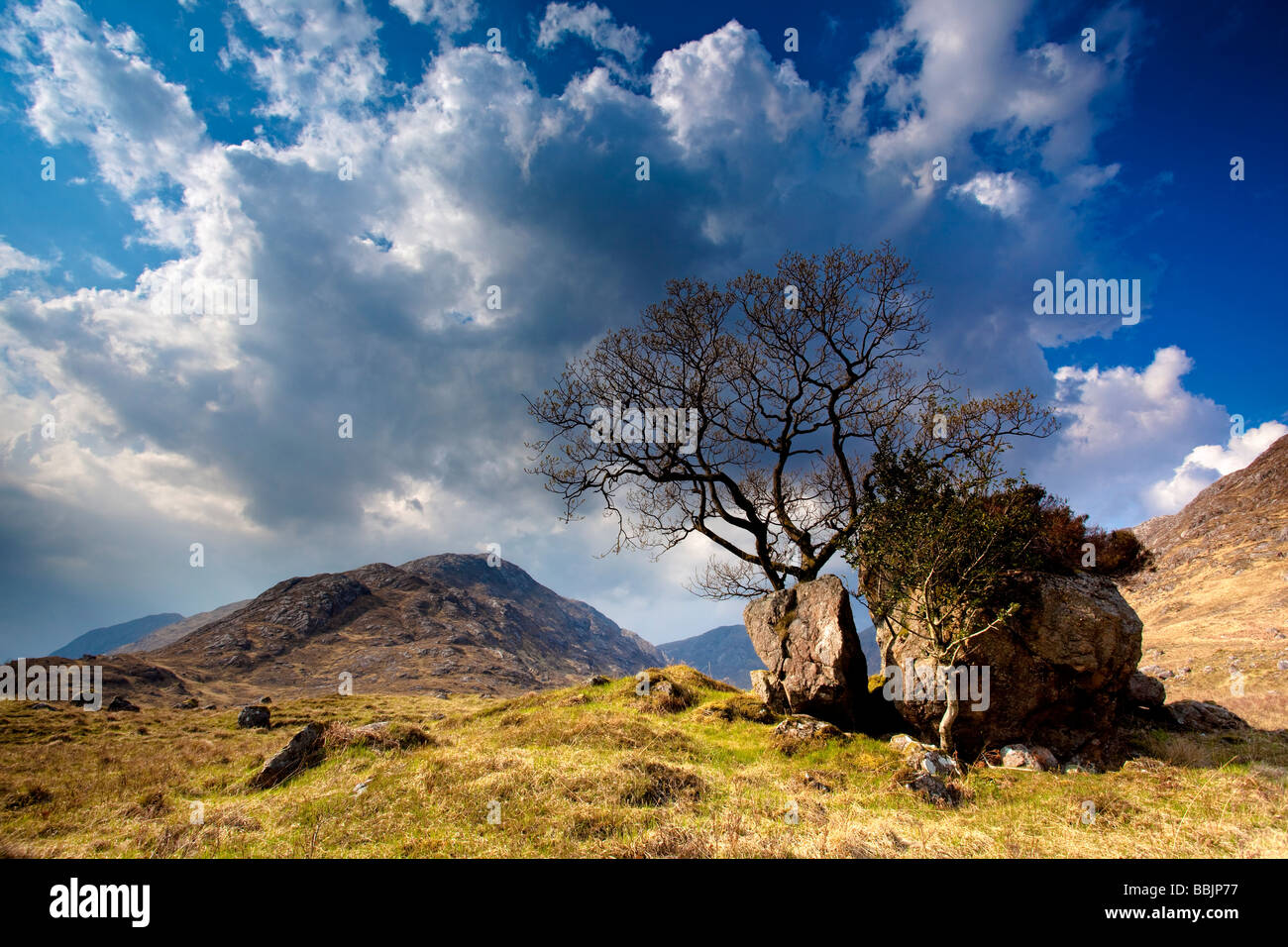 Garbh Bheinn Glen Tarbert Ardgour Montaña Highlands de Escocia Foto de stock