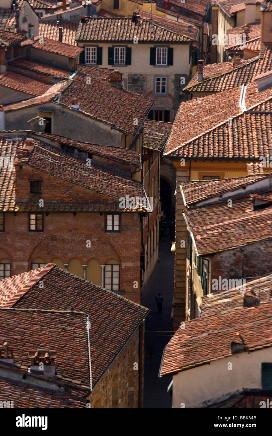 Alta Vista de la ciudad desde la Torre Guinigi hacia estrechas calles de Lucca, Toscana, Italia, Europa Foto de stock