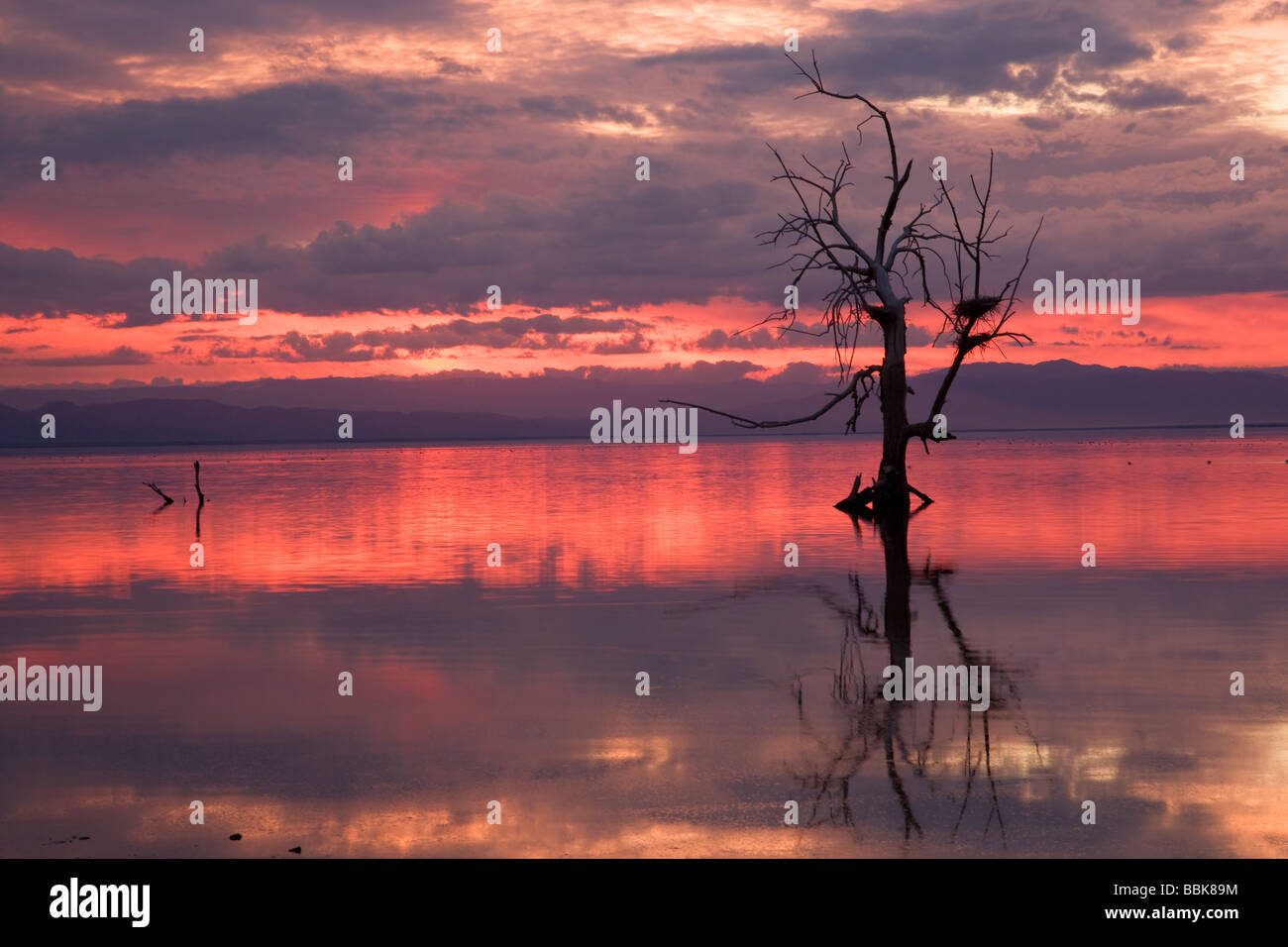 Mar de Salton en California Sunset Foto de stock