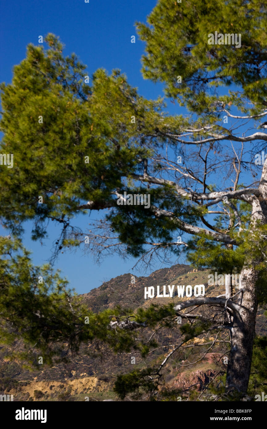 El letrero de Hollywood desde Griffith Observatory Los Angeles California Foto de stock