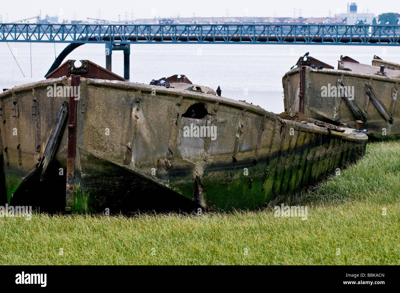 Los restos de viejas barcazas concretas varado en la costa de Essex del Támesis. Foto de stock