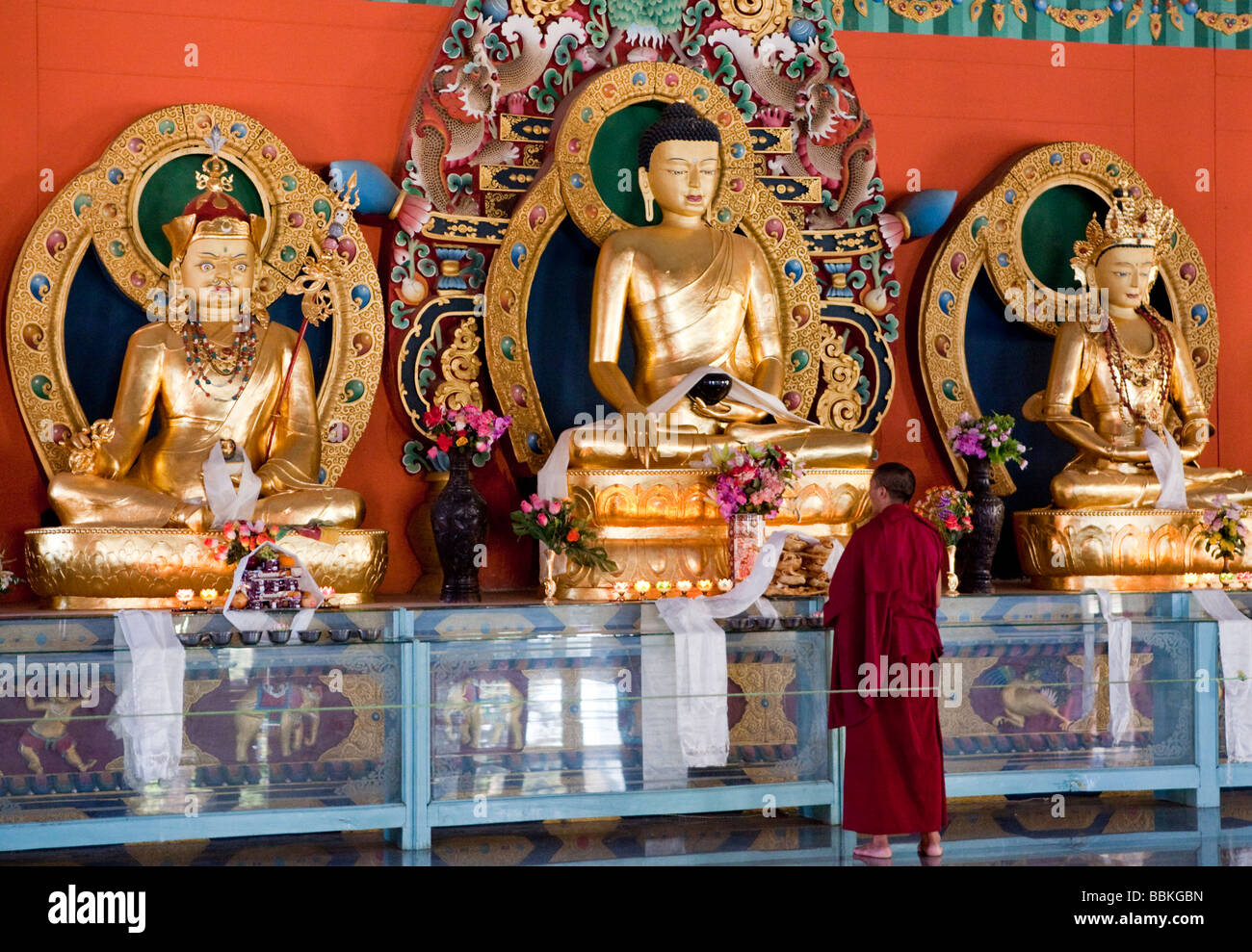 Un Buda dorado Namdroling monasterio tibetano Bylakuppe Koorg Karbataka India Foto de stock