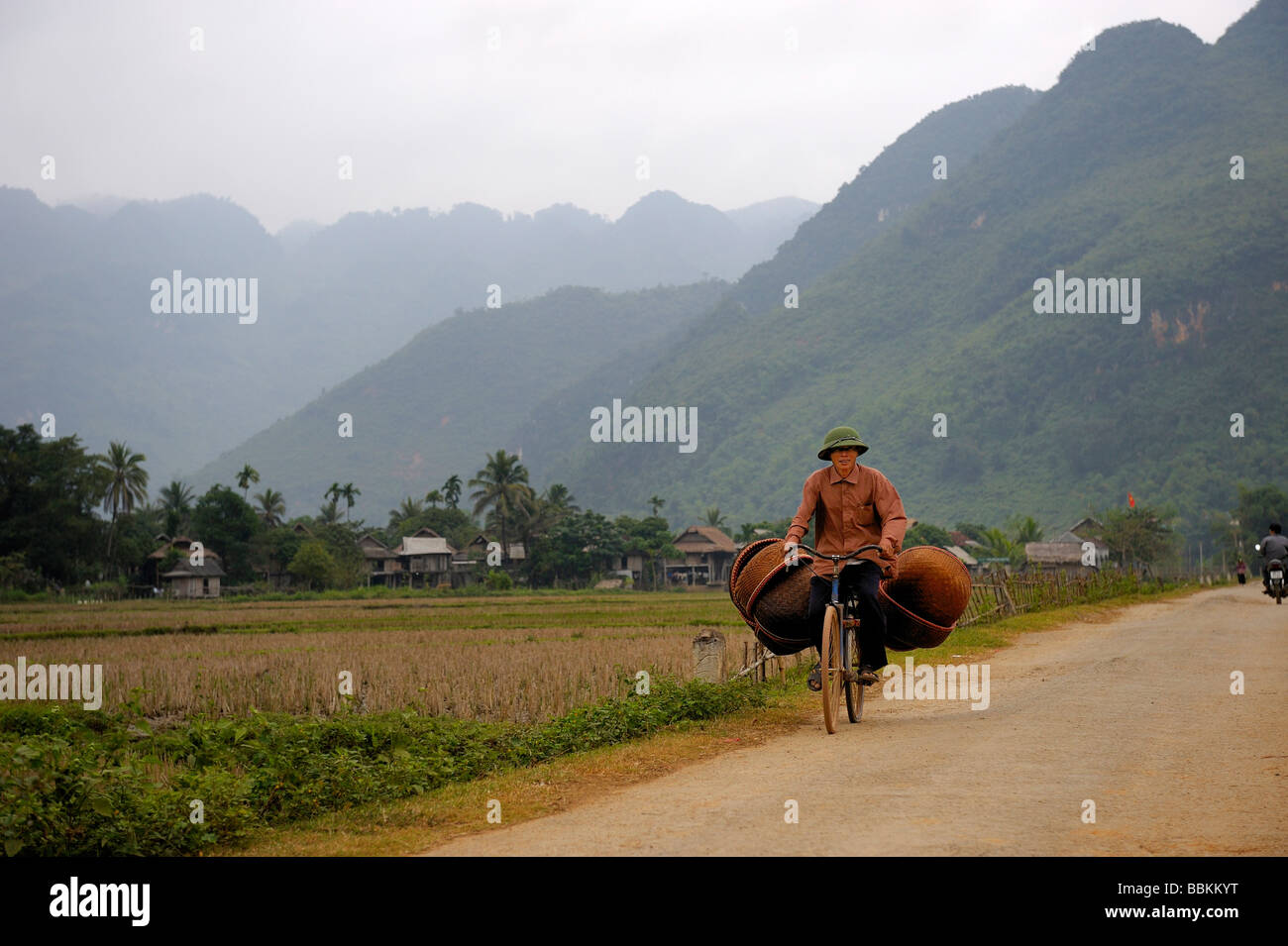 Hombre vietnamita en bicicleta, Ninh Binh, Vietnam del Norte, el Sudeste de Asia Foto de stock