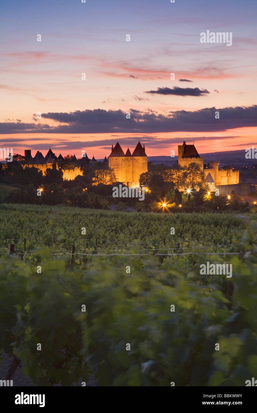 Carcassonne al atardecer desde los viñedos en las afueras de la ciudad. Languedoc Rousillon. Francia Foto de stock