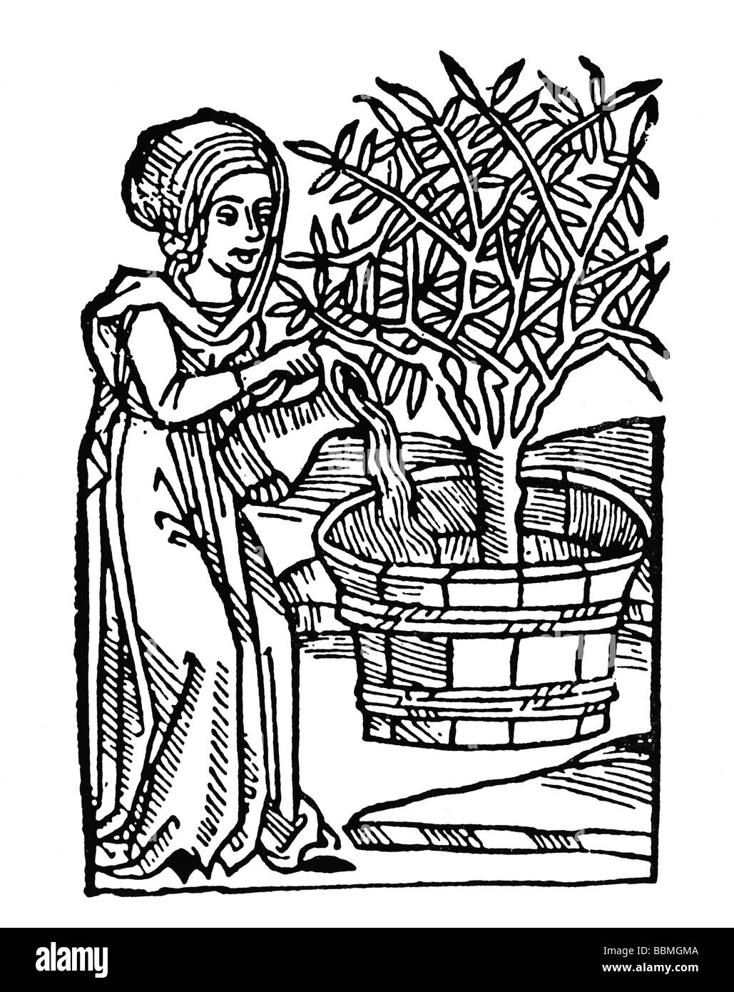 El árbol de Violetta. - Página 6 Mujer-regar-un-arbol-en-un-cubo-de-madera-tallado-en-madera-de-la-epoca-medieval-bbmgma