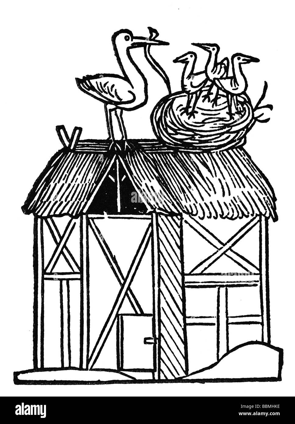Stork está alimentando a su joven con una serpiente, talla de madera desde los tiempos medievales Foto de stock