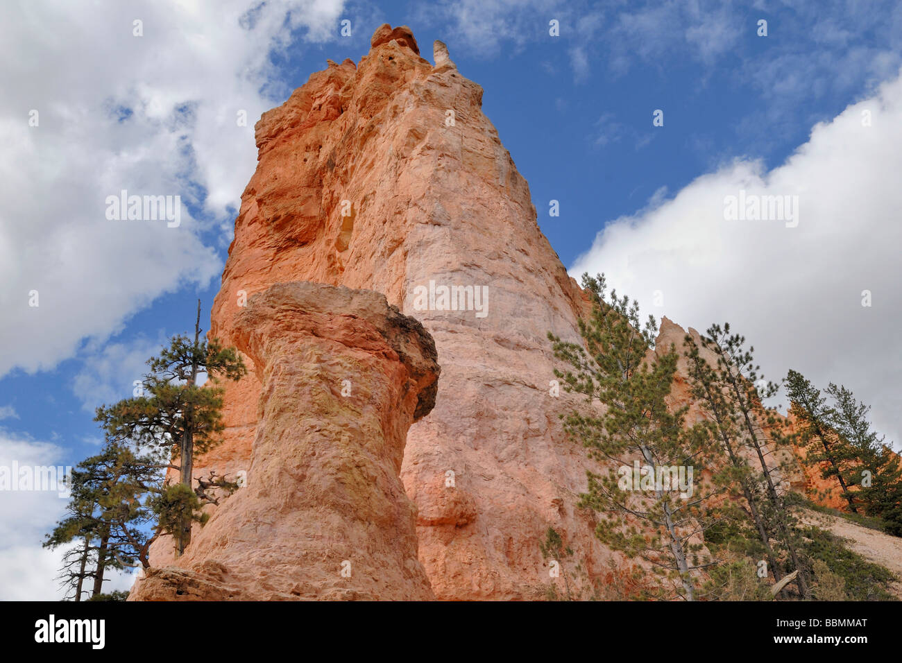 Agujas de roca caliza, Hoodoos, Bryce Canyon National Park, Utah, EE.UU. Foto de stock