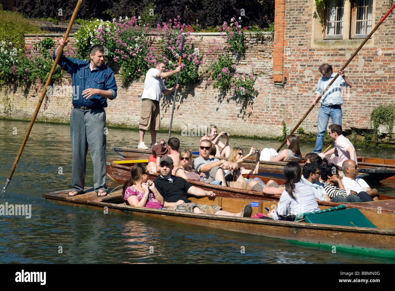 Navegar por el río Cam, Cambridge, Reino Unido, en un soleado día de verano Foto de stock
