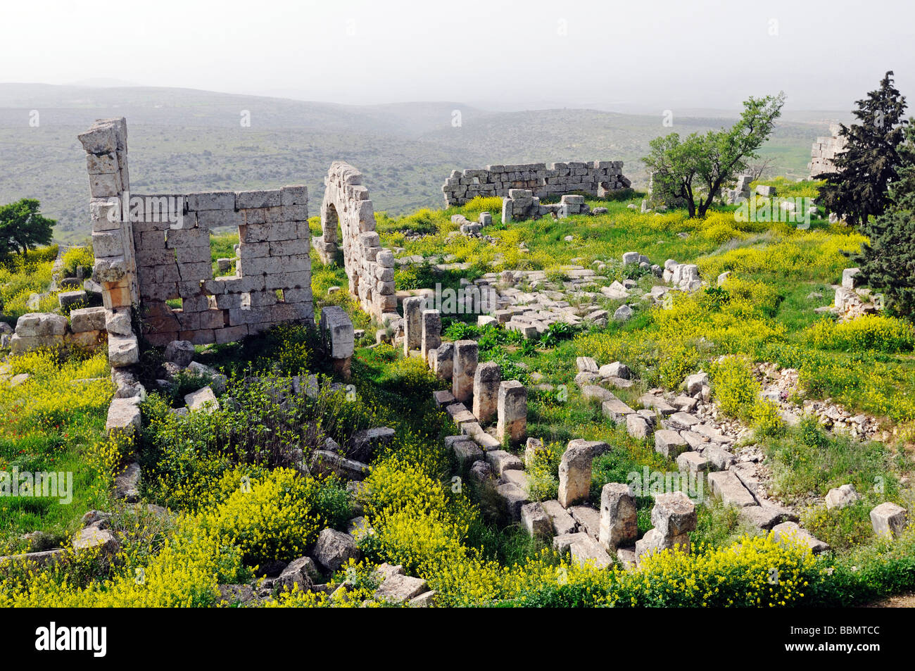 Ruinas del monasterio de Simeón, Quala'at Samaan, ciudades muertas, Siria, Asia Foto de stock