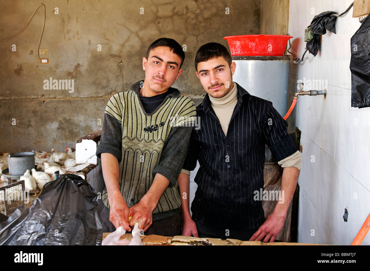 Los comerciantes de aves de corral en Aleppo, Siria, Asia Foto de stock