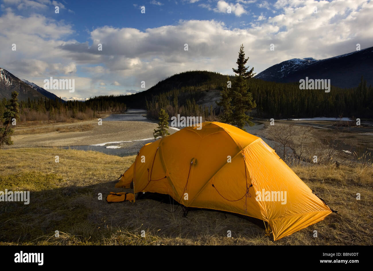 Carpa amarilla en la orilla de un río, camping, Río Takhini detrás, Territorio de Yukon, Canadá, Norteamérica Foto de stock