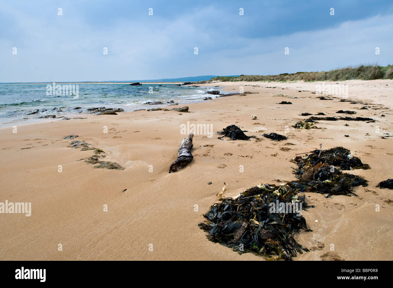 Dornoch beach, en la costa oriental de Escocia, Sutherland en una luminosa y soleada de primavera decir Foto de stock