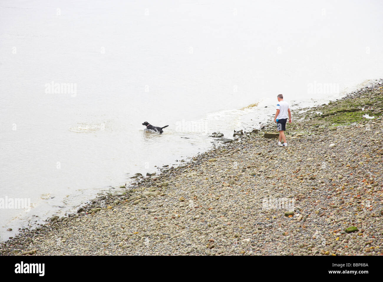 El hombre con su perro, ir al río a buscar Foto de stock