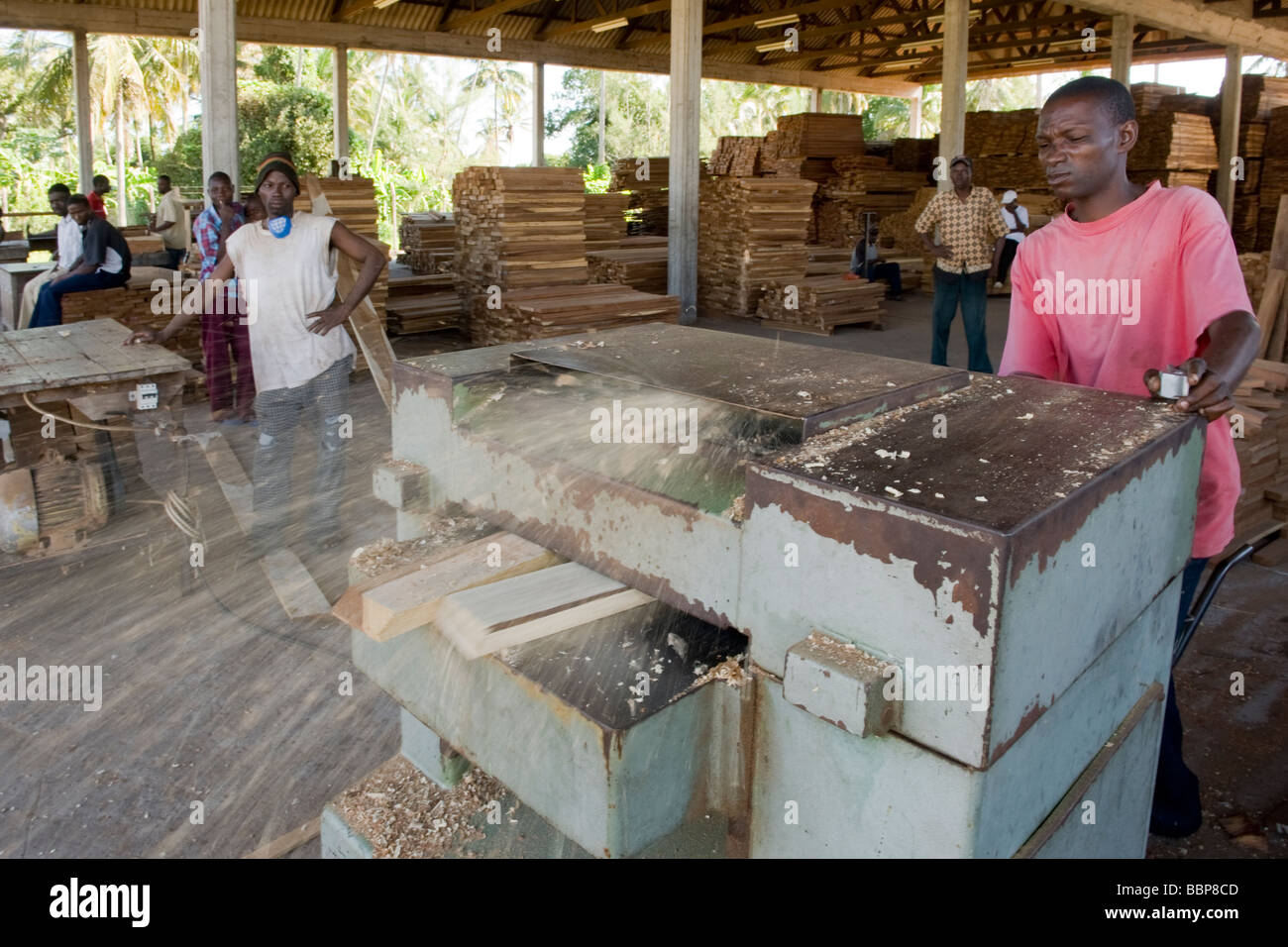 Trabajador de cepillado para la exportación de madera en un aserradero Ouelimane Mozambique Foto de stock
