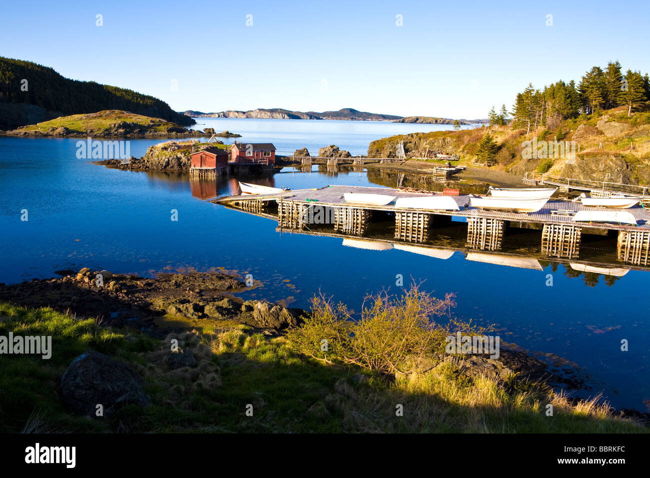 Tizzards fotografías e imágenes de alta resolución Alamy