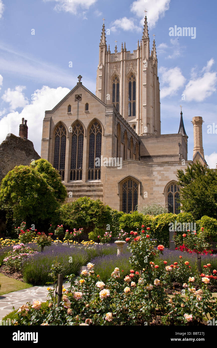 Catedral de Bury St Edmunds visto desde los jardines de la Abadía Foto de stock