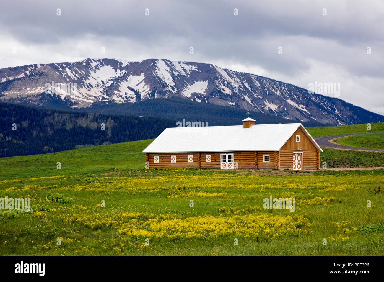 Inicie sesión Horse Barn en una pradera llena de flores silvestres amarillas Crested Butte Colorado, EE.UU. Foto de stock
