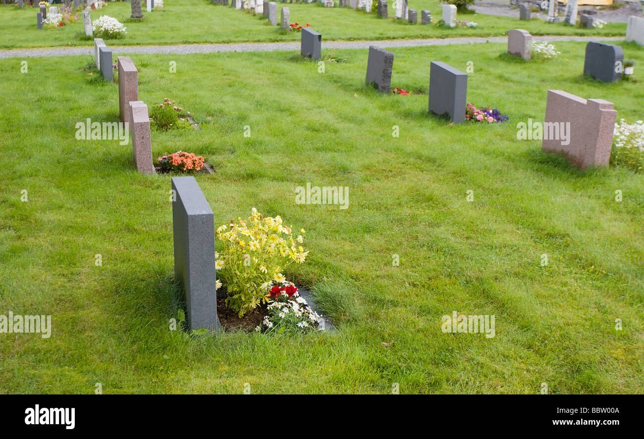 Flores plantadas en la tumba fotografías e imágenes de alta resolución