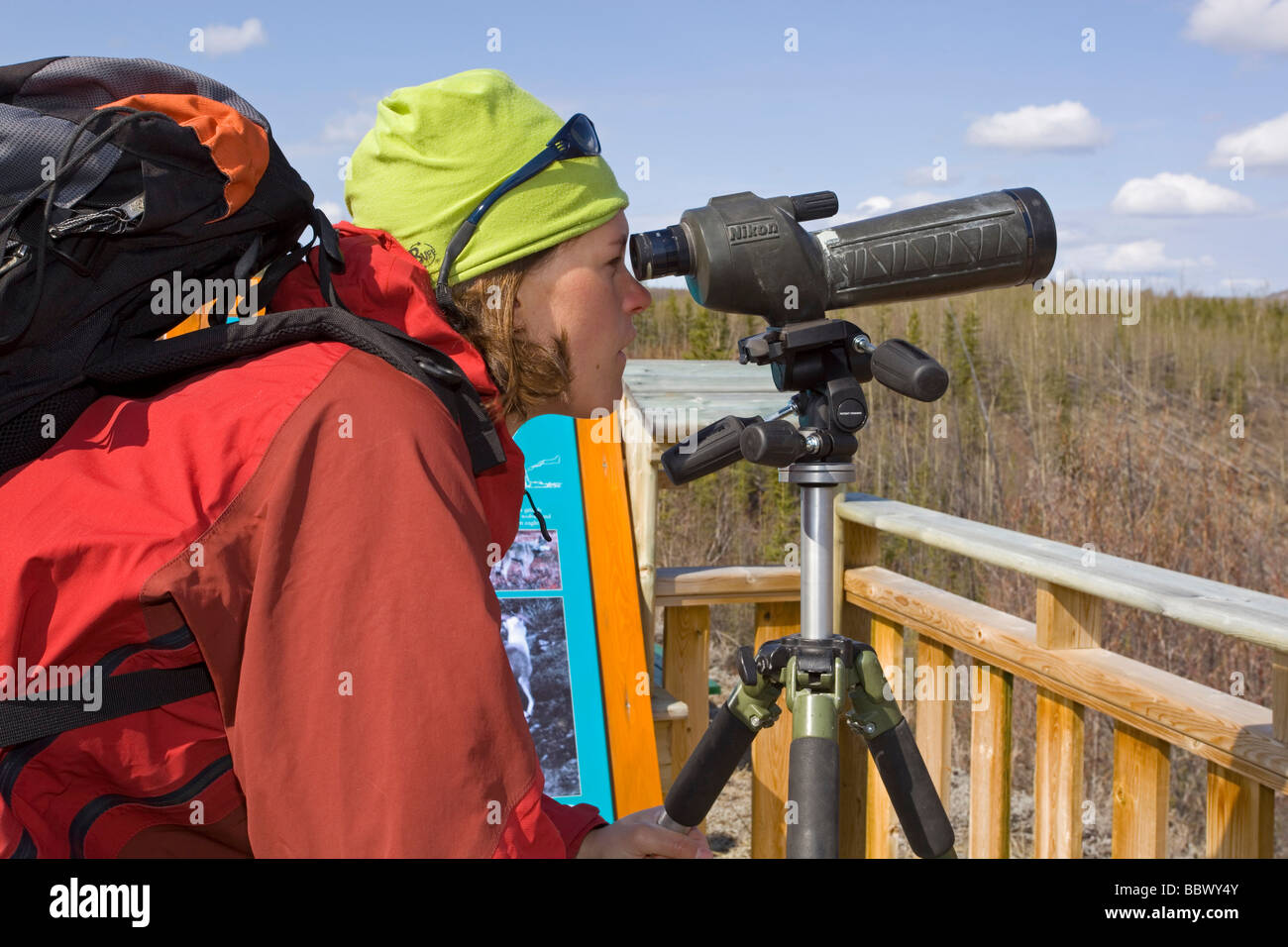 Mujer joven observar la vida salvaje, telescopio, telescopio, Yukon Outdoor Programa Escolar, Faro, Territorio de Yukon, Canadá, Norte de Am Foto de stock