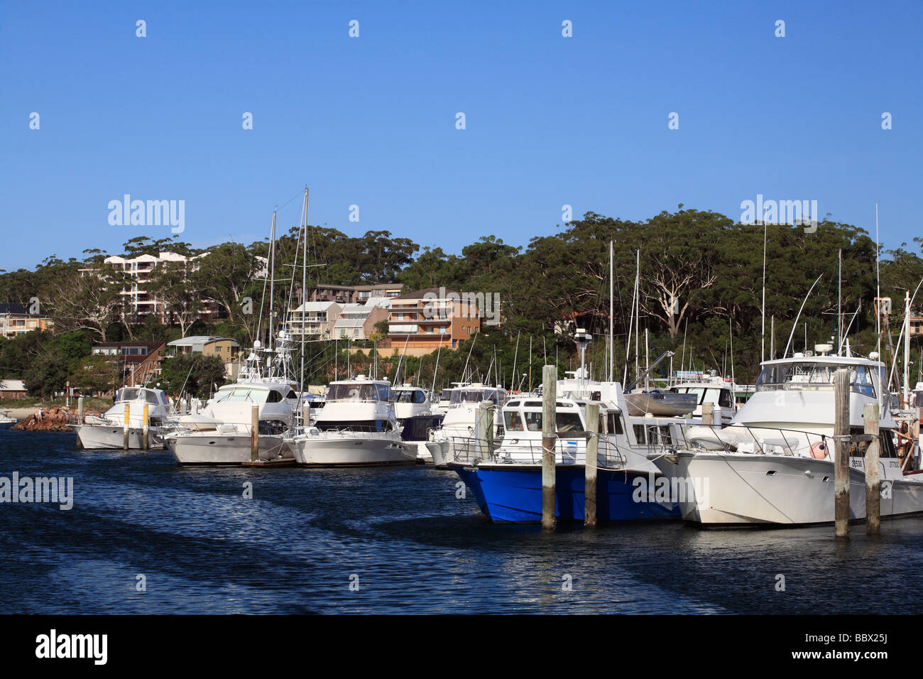 Embarcaciones en el puerto deportivo de Nelson Bay, Port Stephens, NSW, Australia Foto de stock